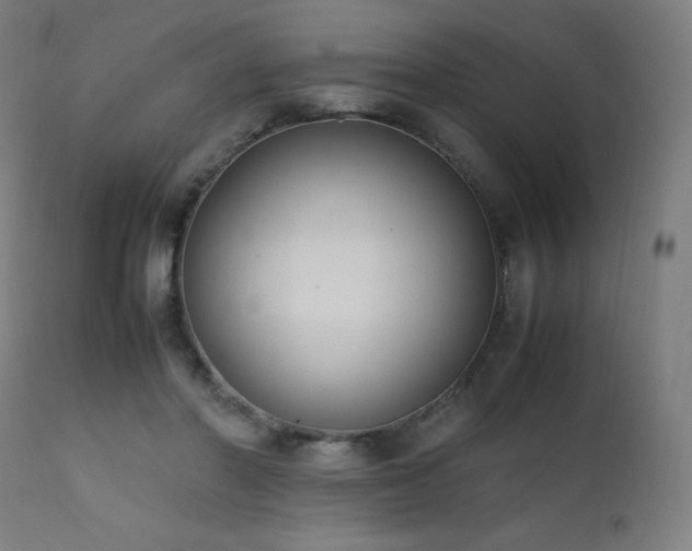 X0000111650406200907171550