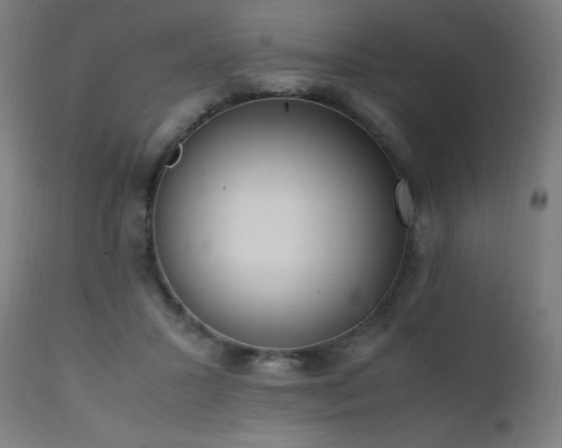 X0000111650407200907171550