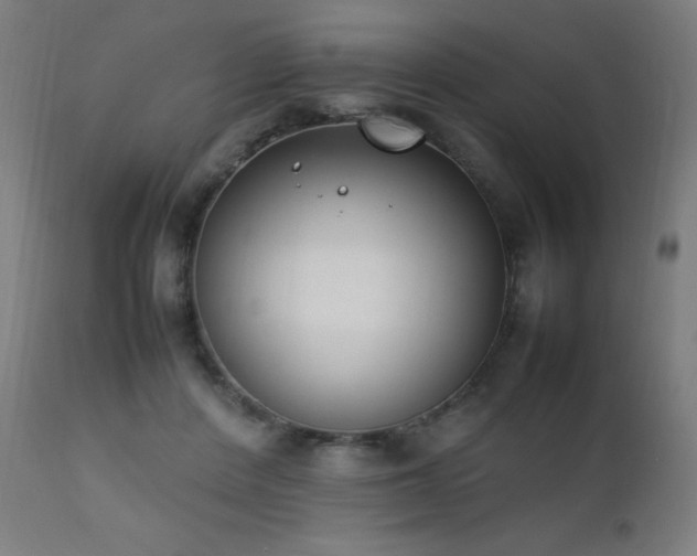 X0000111650408200907171550