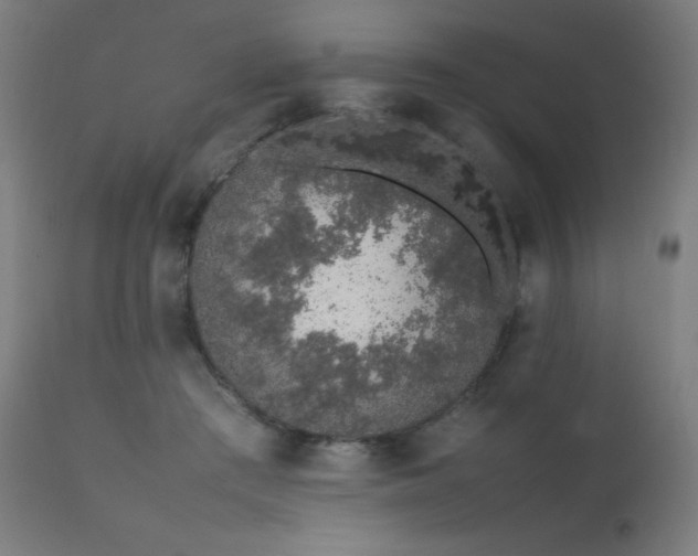 X0000111650409200907171550