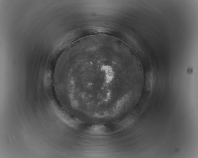 X0000111650410200907171550