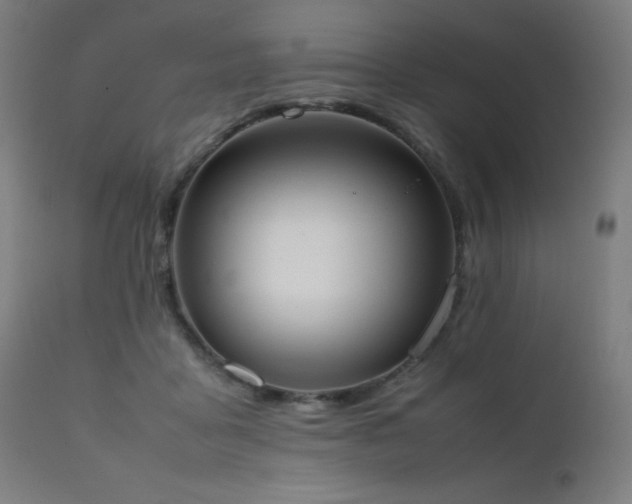 X0000111650411200907171550