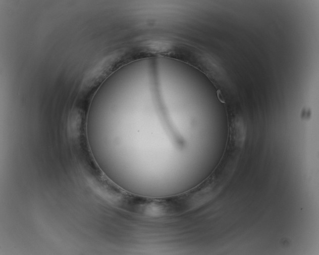 X0000111650412200907171550