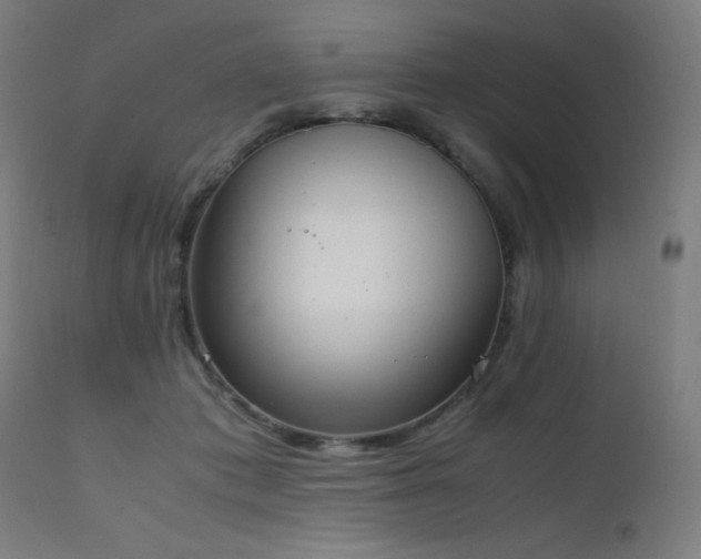 X0000111650413200907171550