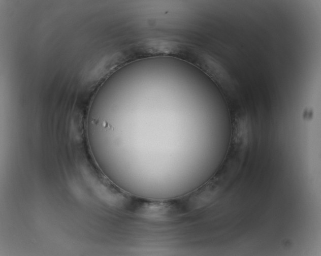 X0000111650414200907171550