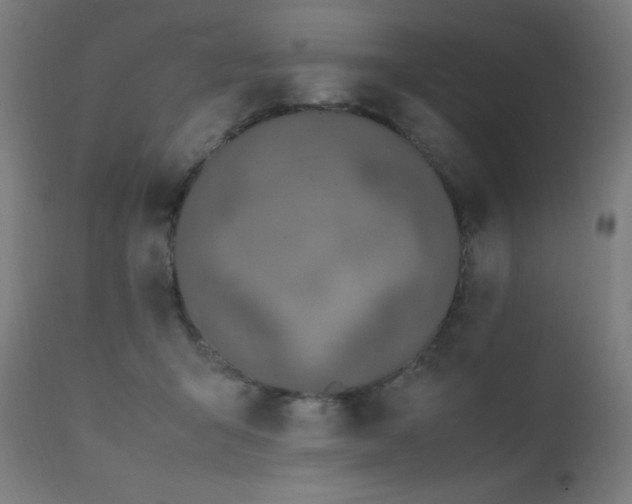X0000111650415200907171550