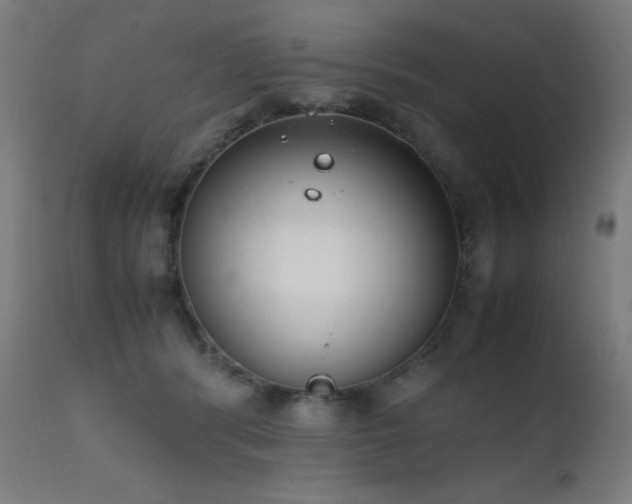 X0000111650416200907171550