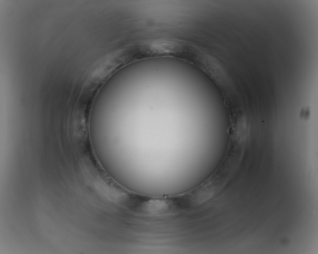 X0000111650418200907171550
