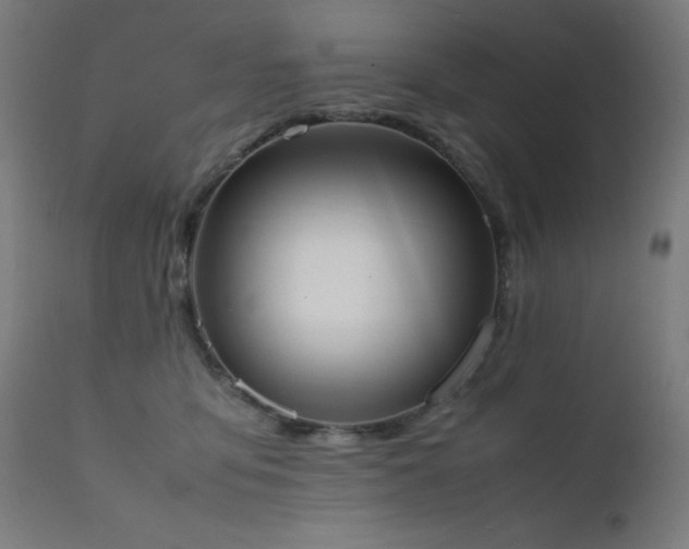 X0000111650419200907171550