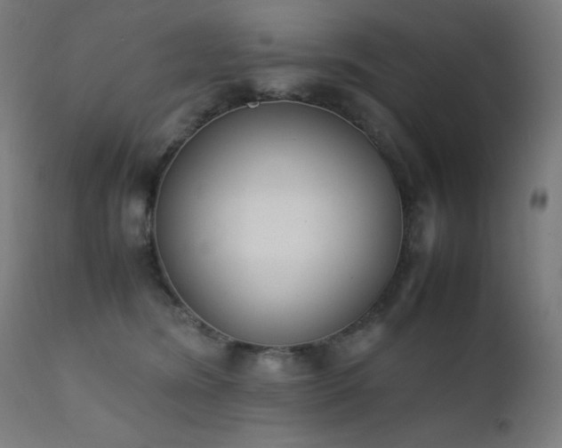 X0000111650420200907171550