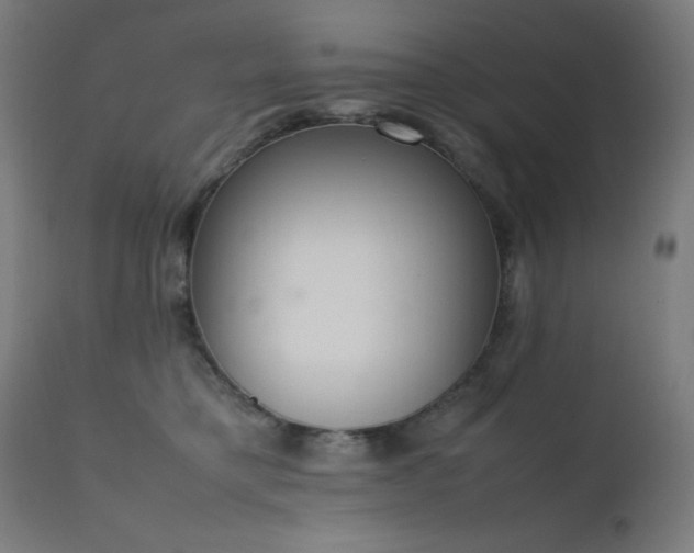 X0000111650421200907171550