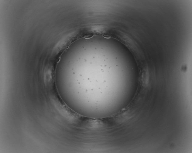 X0000111650424200907171550