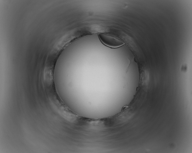 X0000111650426200907171550