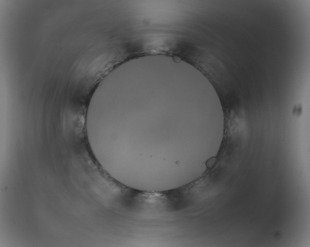 X0000111650427200907171550