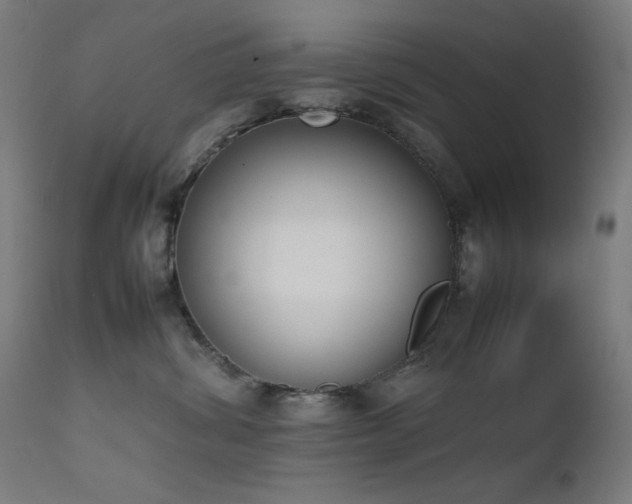 X0000111650428200907171550
