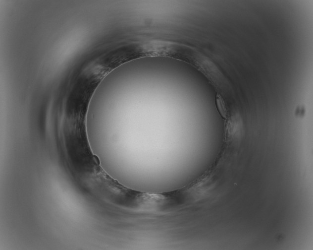 X0000111650429200907171550
