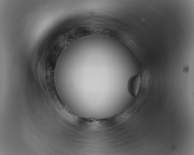 X0000111650430200907171550