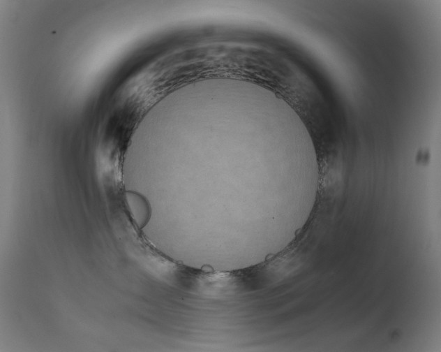 X0000111650431200907171550