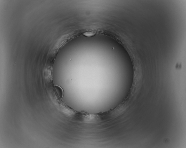 X0000111650432200907171550