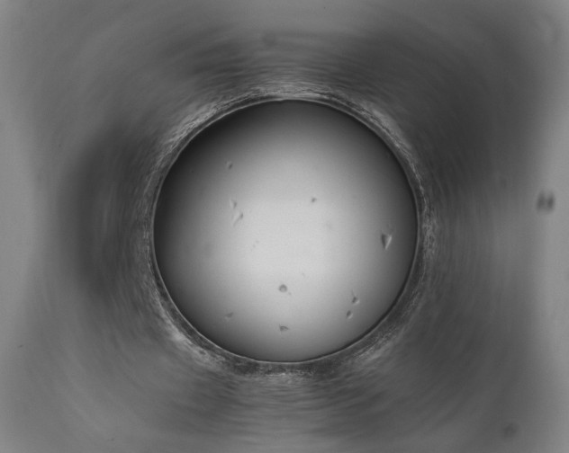 X0000111650433200907171549