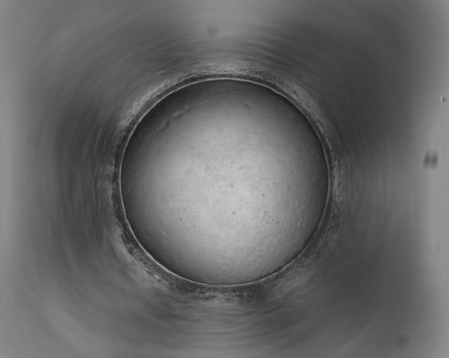X0000111650434200907171549