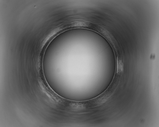 X0000111650435200907171549