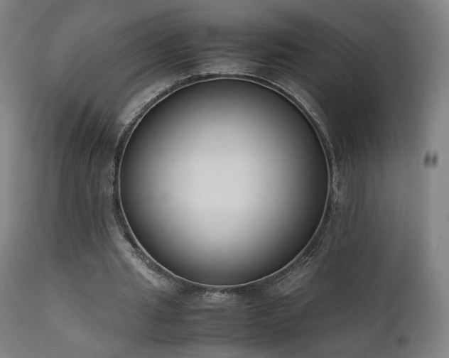 X0000111650437200907171549