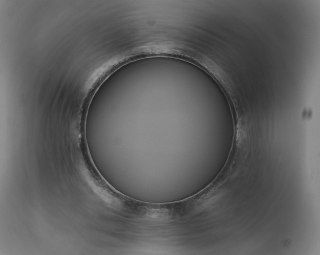 X0000111650438200907171549