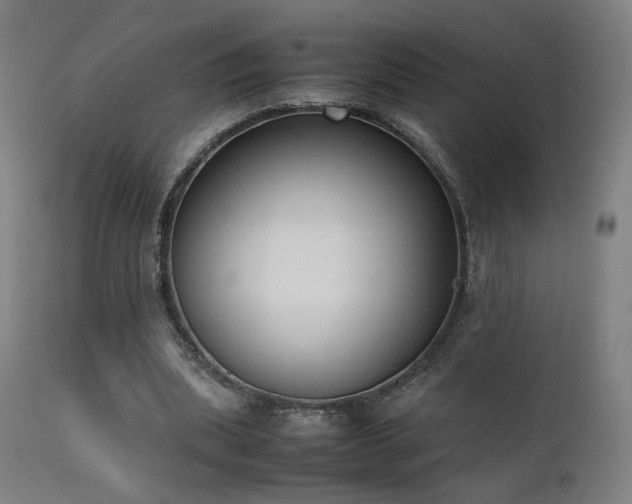 X0000111650439200907171549