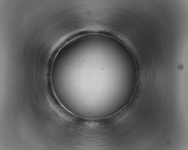 X0000111650440200907171549