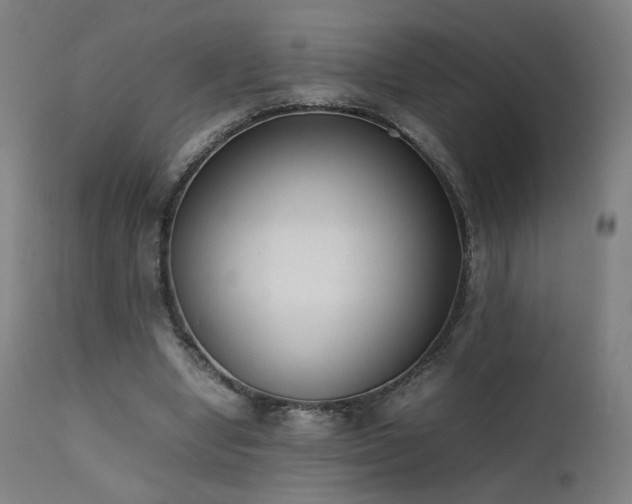 X0000111650442200907171549