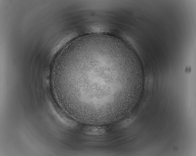 X0000111650443200907171549