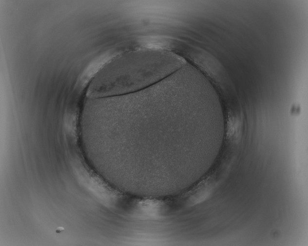 X0000111650444200907171549