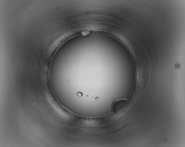 X0000111650445200907171549
