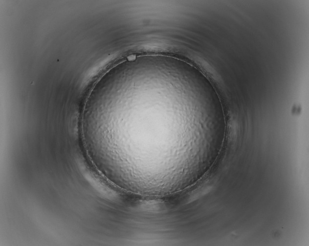 X0000111650446200907171549