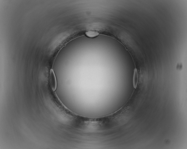X0000111650448200907171549