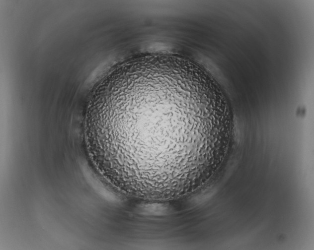 X0000111650449200907171549