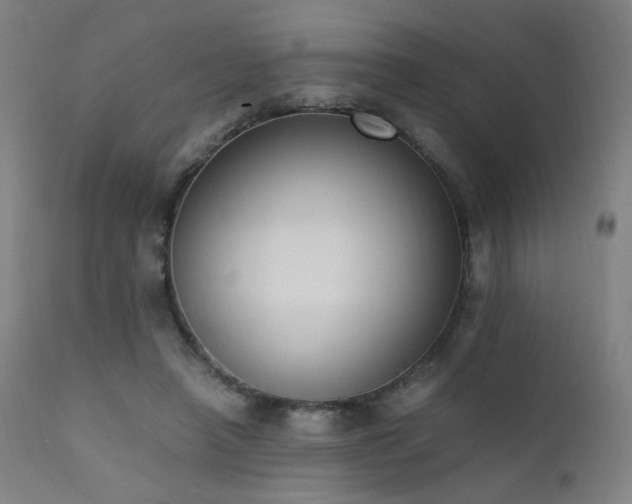 X0000111650450200907171549
