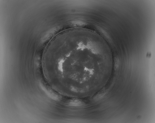 X0000111650451200907171549