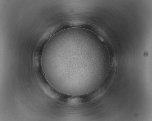 X0000111650452200907171549