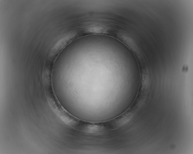 X0000111650453200907171549