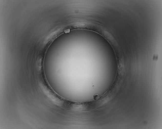 X0000111650454200907171549