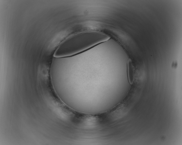 X0000111650456200907171549