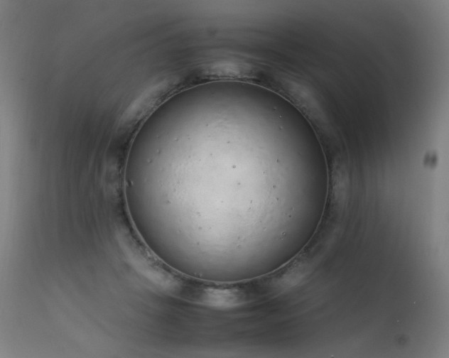 X0000111650457200907171549