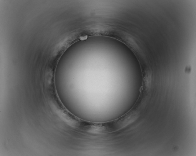 X0000111650458200907171549