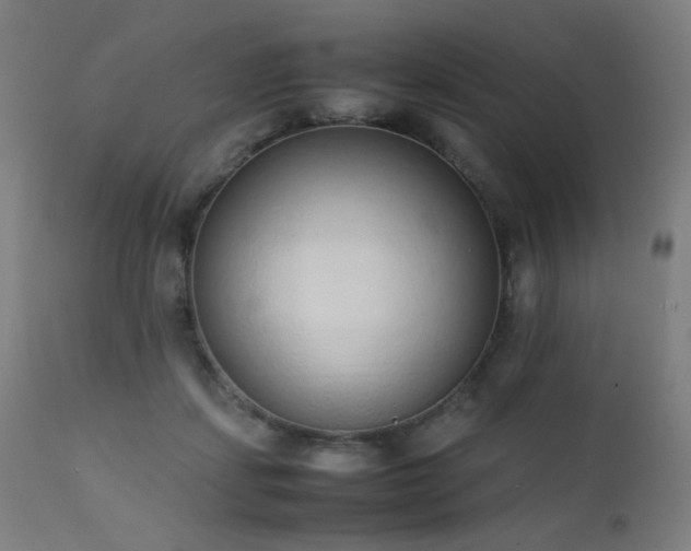 X0000111650459200907171549