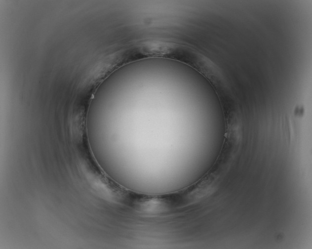 X0000111650460200907171549