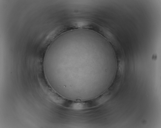 X0000111650461200907171549