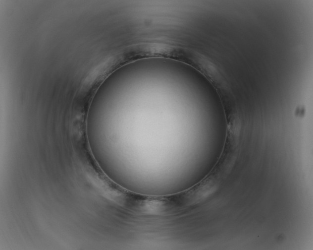 X0000111650462200907171549