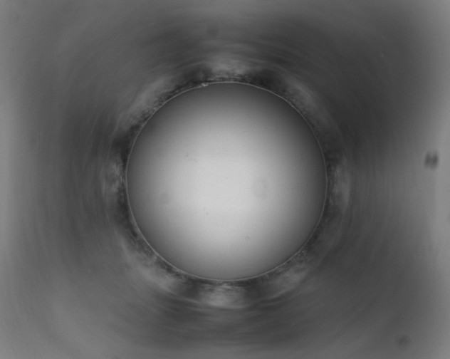 X0000111650463200907171549